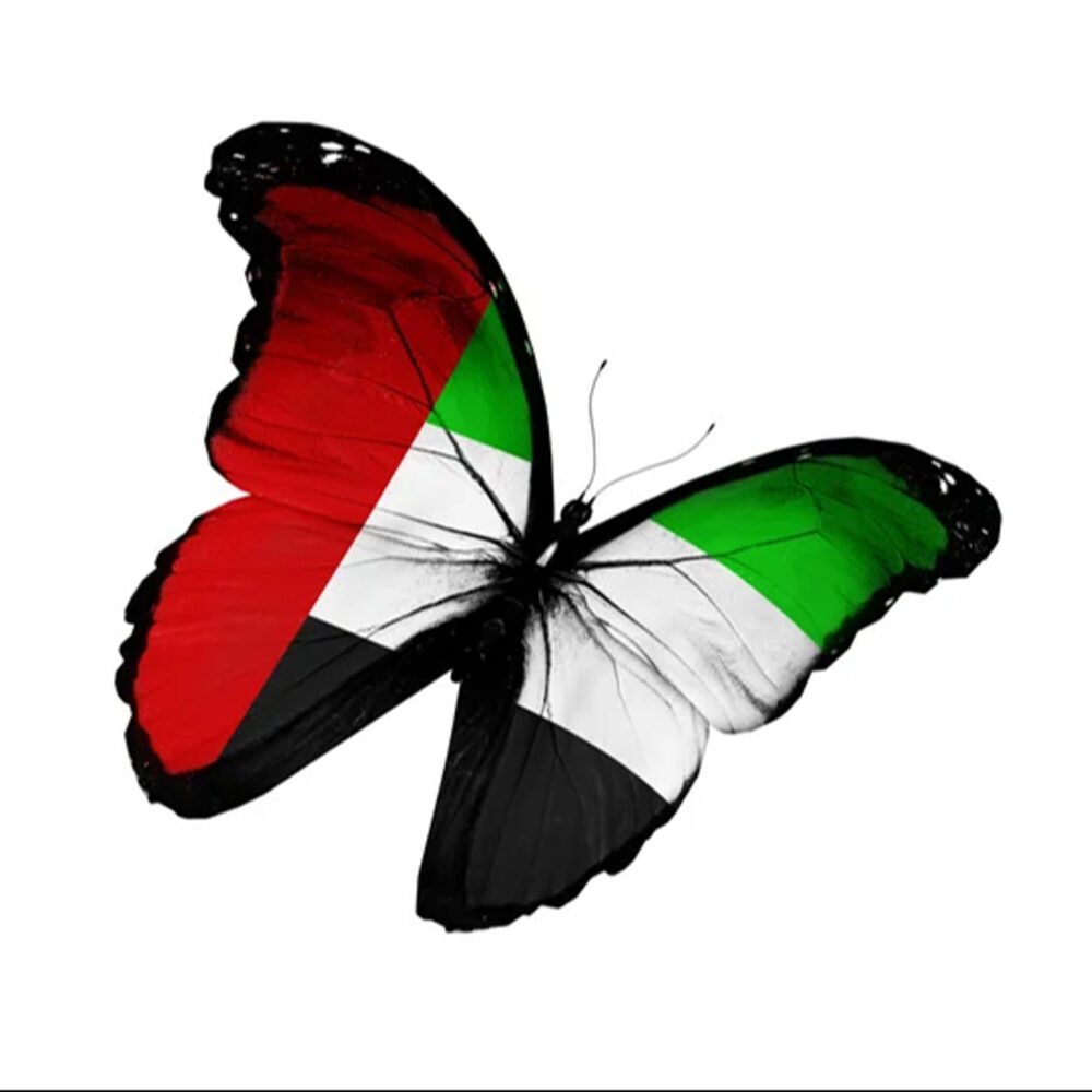 UAE National Day Celebration