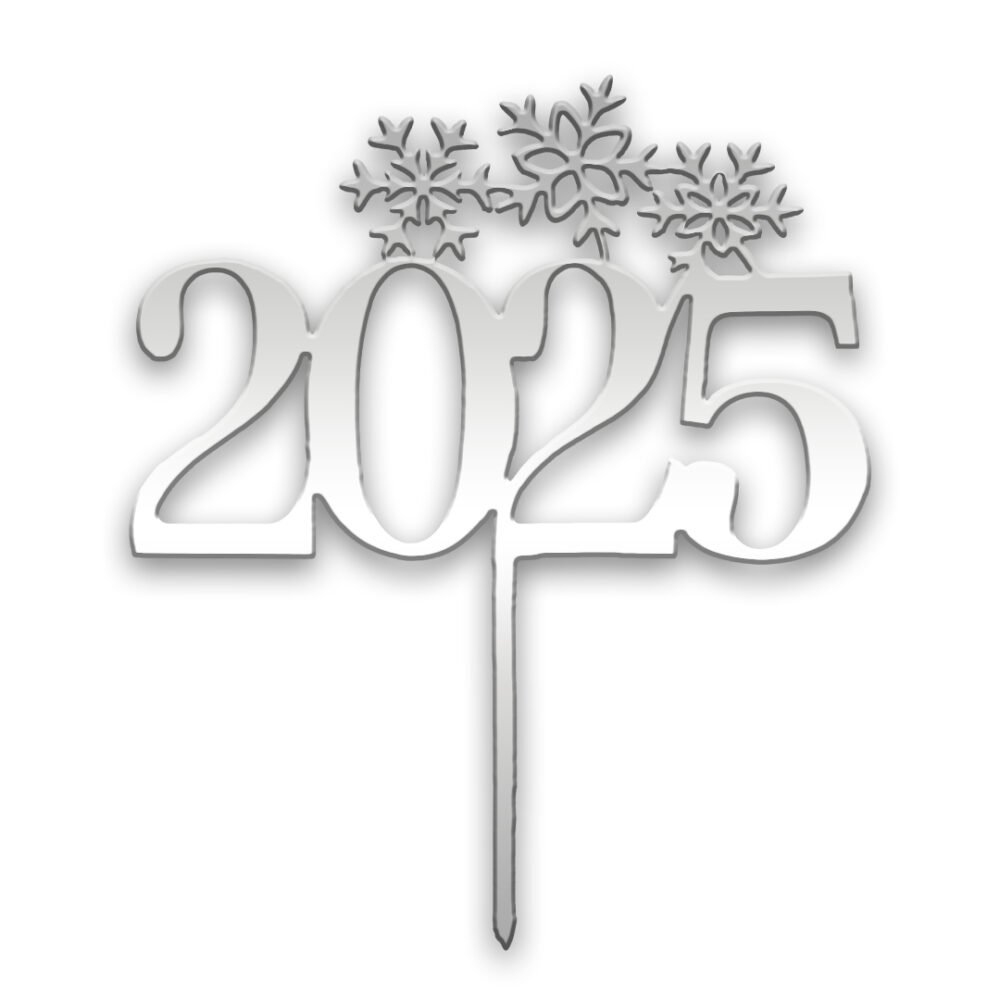 2025 cake topper