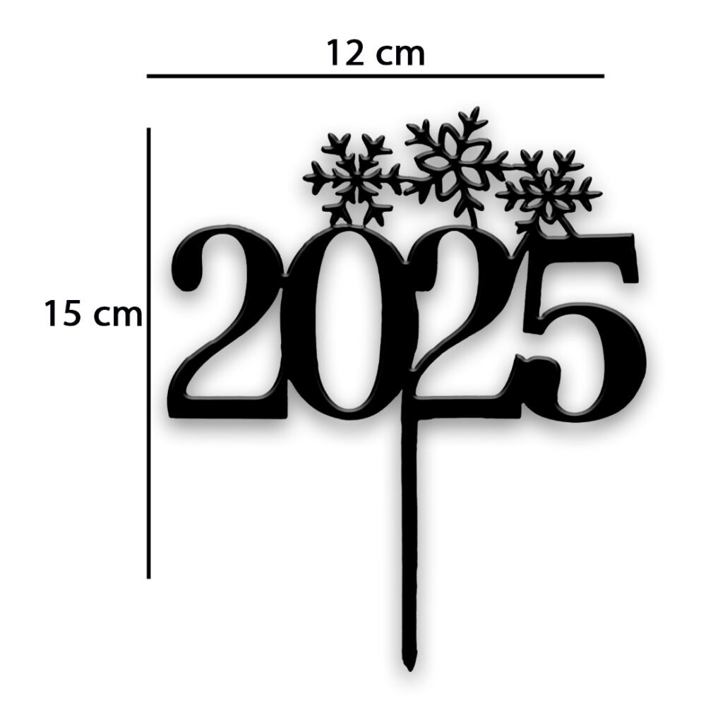 2025 cake topper