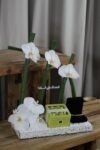 Luxury White Orchid Gift Arrangement with Jewelry Box & Chocolates