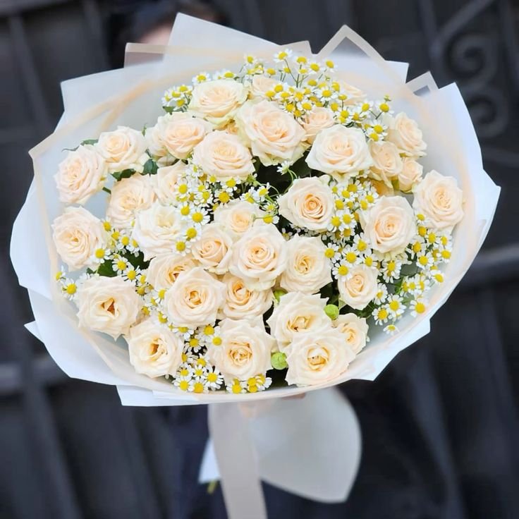 Luxury Off White Rose Bouquet – Fresh Cream Roses & Chamomile Flower