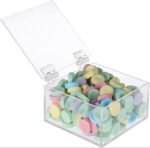Premium Acrylic Storage Box with Hinged Lid
