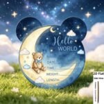 Baby Birth Announcement Plaque, Newborn Baby Name Sign